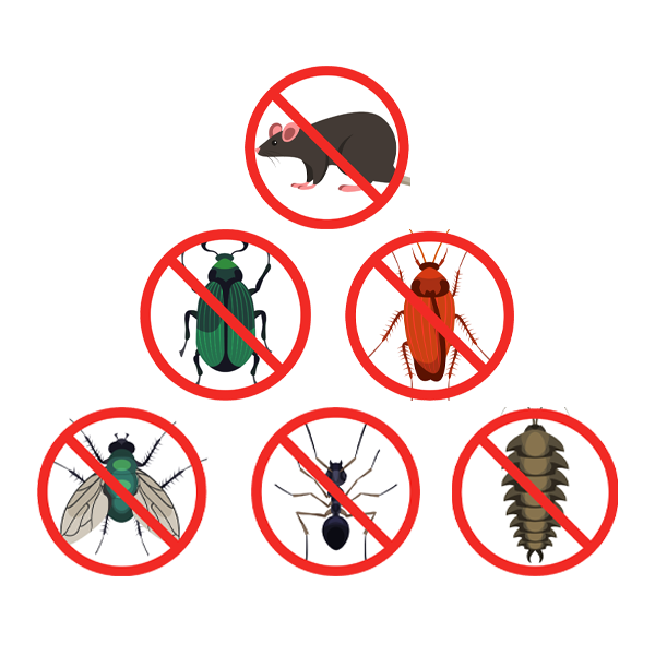 pest control in delhi